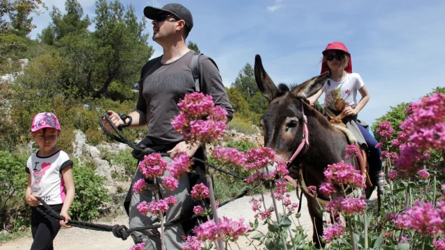 Anes Balade Fleurs Garlaban La Font De Mai Oti Aubagne