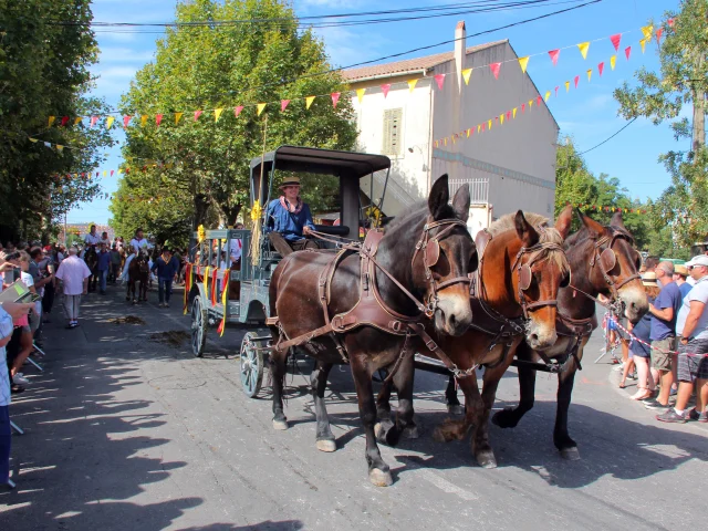 Chevaux Cavalcade Beaudinard Aubagne