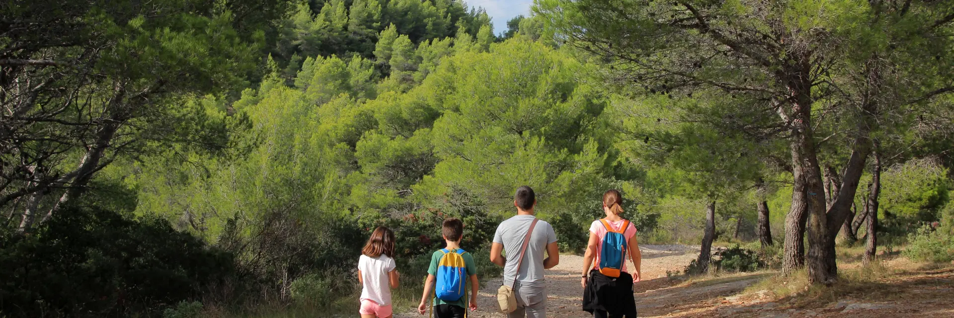 Famille Randonneurs Sentier Pins Oti Aubagne
