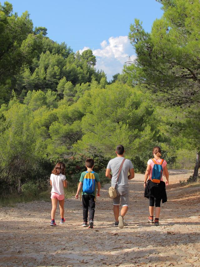 Famille Randonneurs Sentier Pins Oti Aubagne