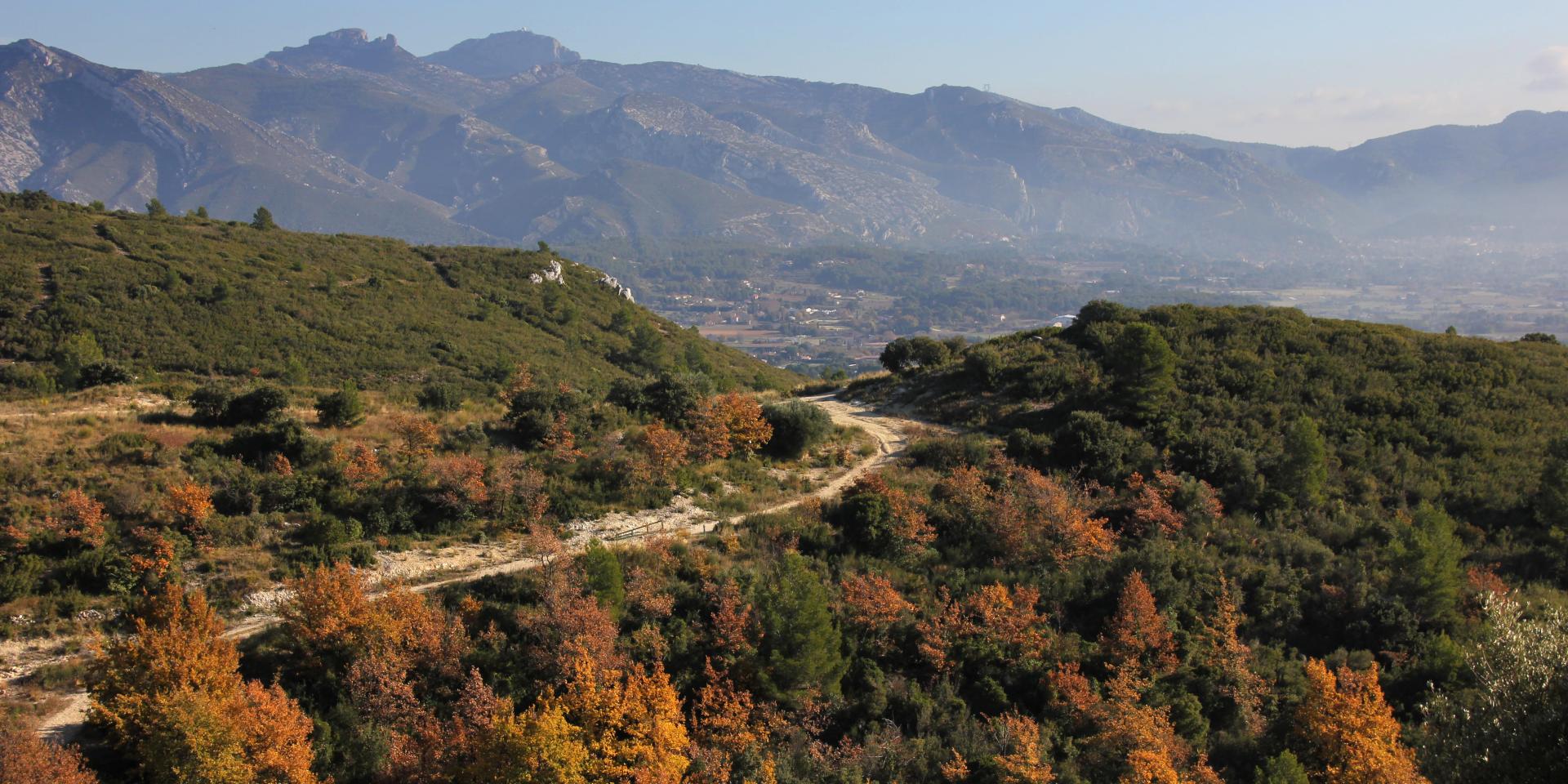 Sentier dans le massif de l'étoile en automne