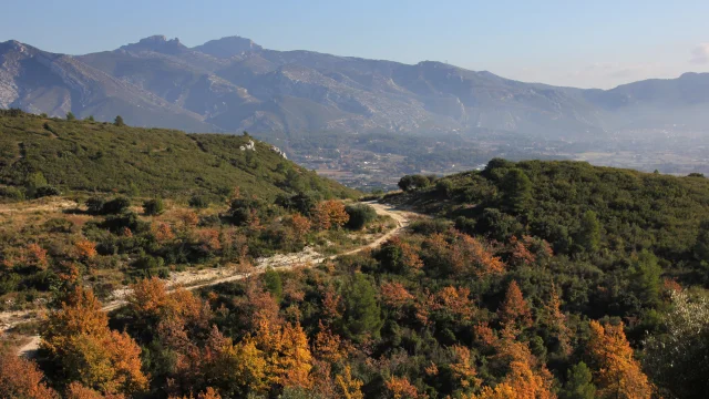 Sentier dans le massif de l'étoile en automne