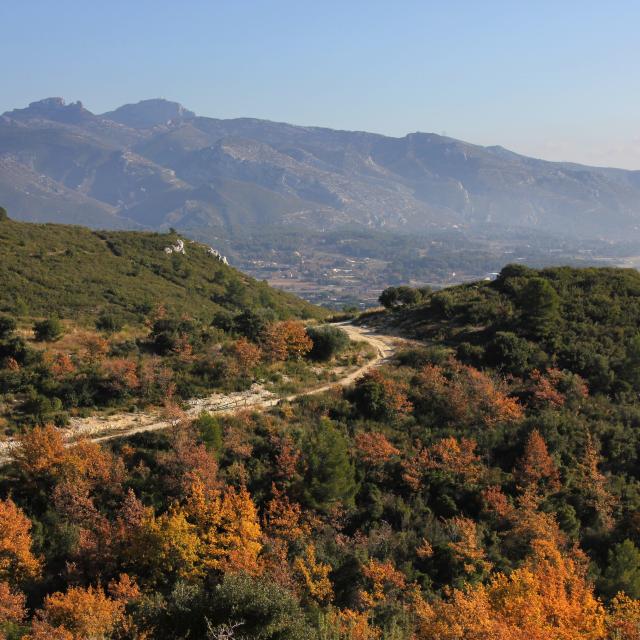 Sentier dans le massif de l'étoile en automne