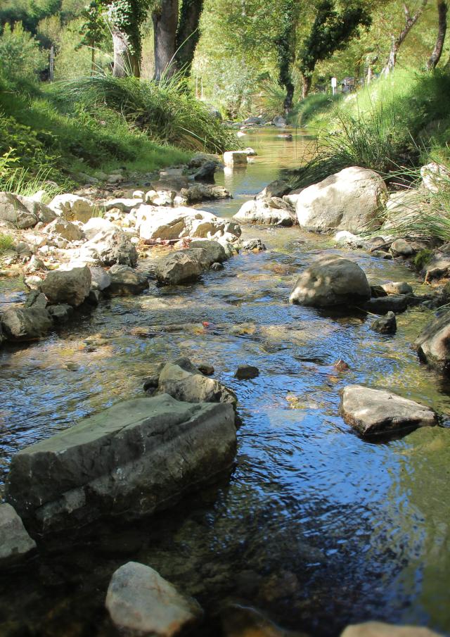 Source Des Nayes Eau Sainte Baume Oti Aubagne
