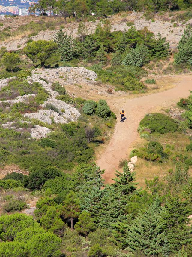 Vtt Garlaban Collines Sentier Balade Nature Garrigue Oti Aubagne