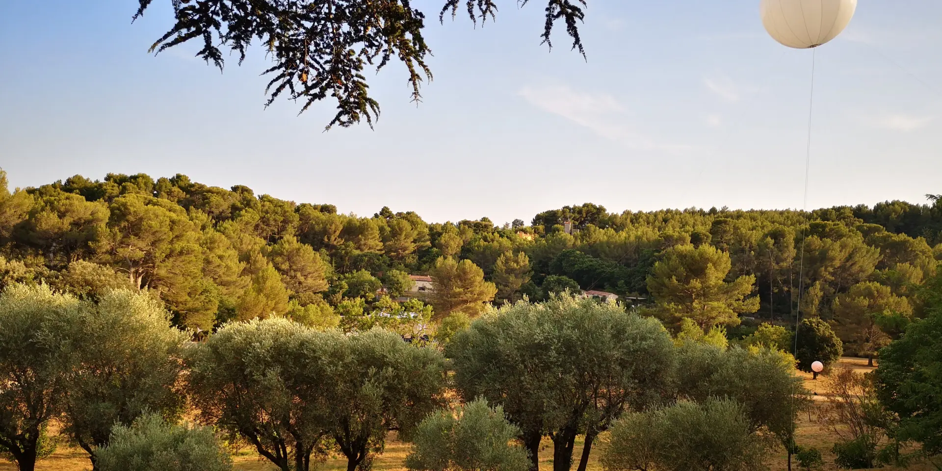 Paysage du domaine de la Font de Mai à Aubagne avec des oliviers au premier plan, une forêt de pins en arrière-plan et un ballon éclairant suspendu au-dessus du site.