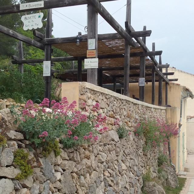 Chemin buvette Font de Mai OTI_Aubagne