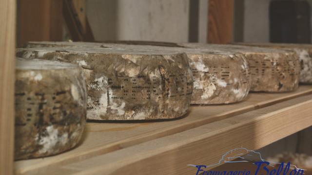 fromages-fromagerie-bellon-oti-aubagne-scaled.jpg