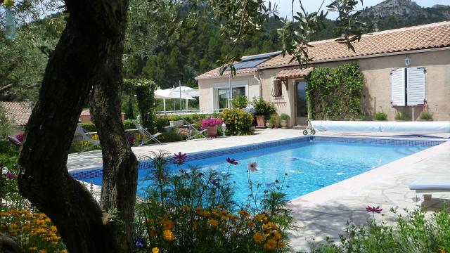 Piscine extérieure avec eau bleue, terrasse claire, maison de plain-pied et jardin fleuri entouré d’arbres et de végétation à la Chambre d'hôtes le 13 original à Saint-Savournin