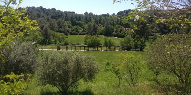 Pergola en bois traversant une prairie verdoyante, entourée d’oliviers et d’arbres méditerranéens, avec des collines boisées en arrière-plan sous un ciel clair au domaine de Font de Mai à Aubagne
