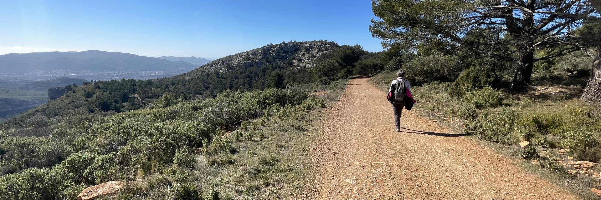 Sentier DFCI - Massif de l'Étoile