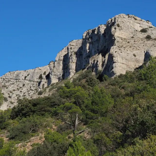 Falaises calcaires et reliefs escarpés du mont Aurélien sous un ciel bleu en Provence.