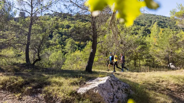Marche nordique à Saint Zacharie