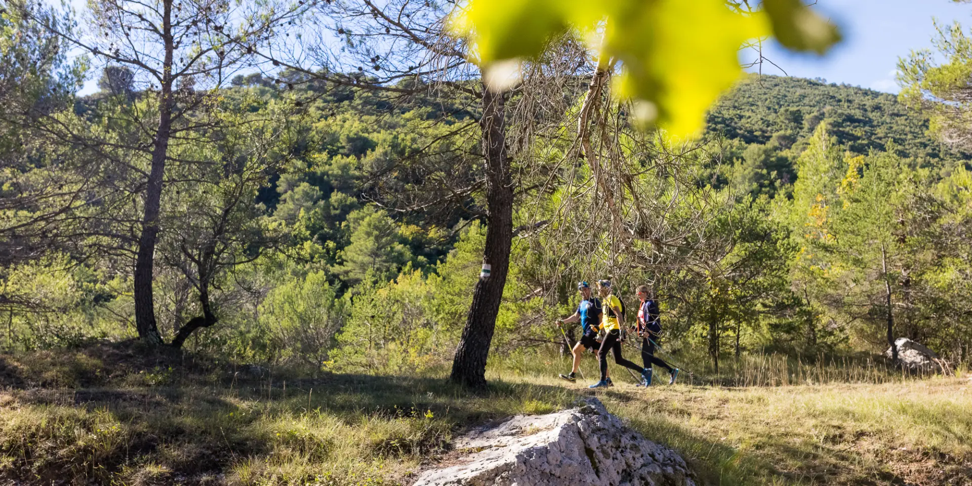 Marche nordique à Saint Zacharie