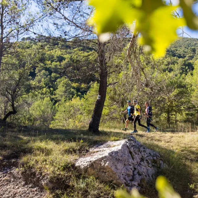 Marche nordique à Saint Zacharie