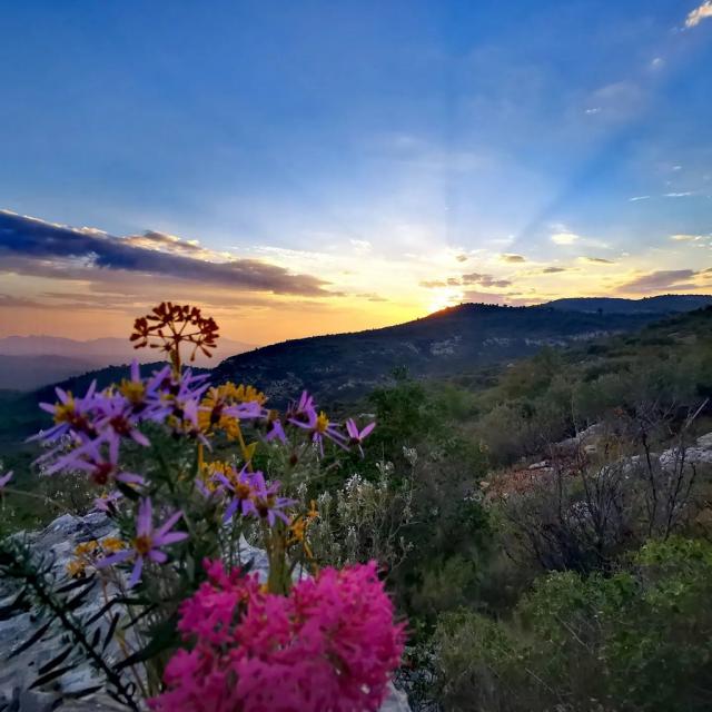 Instagram #garlaban
