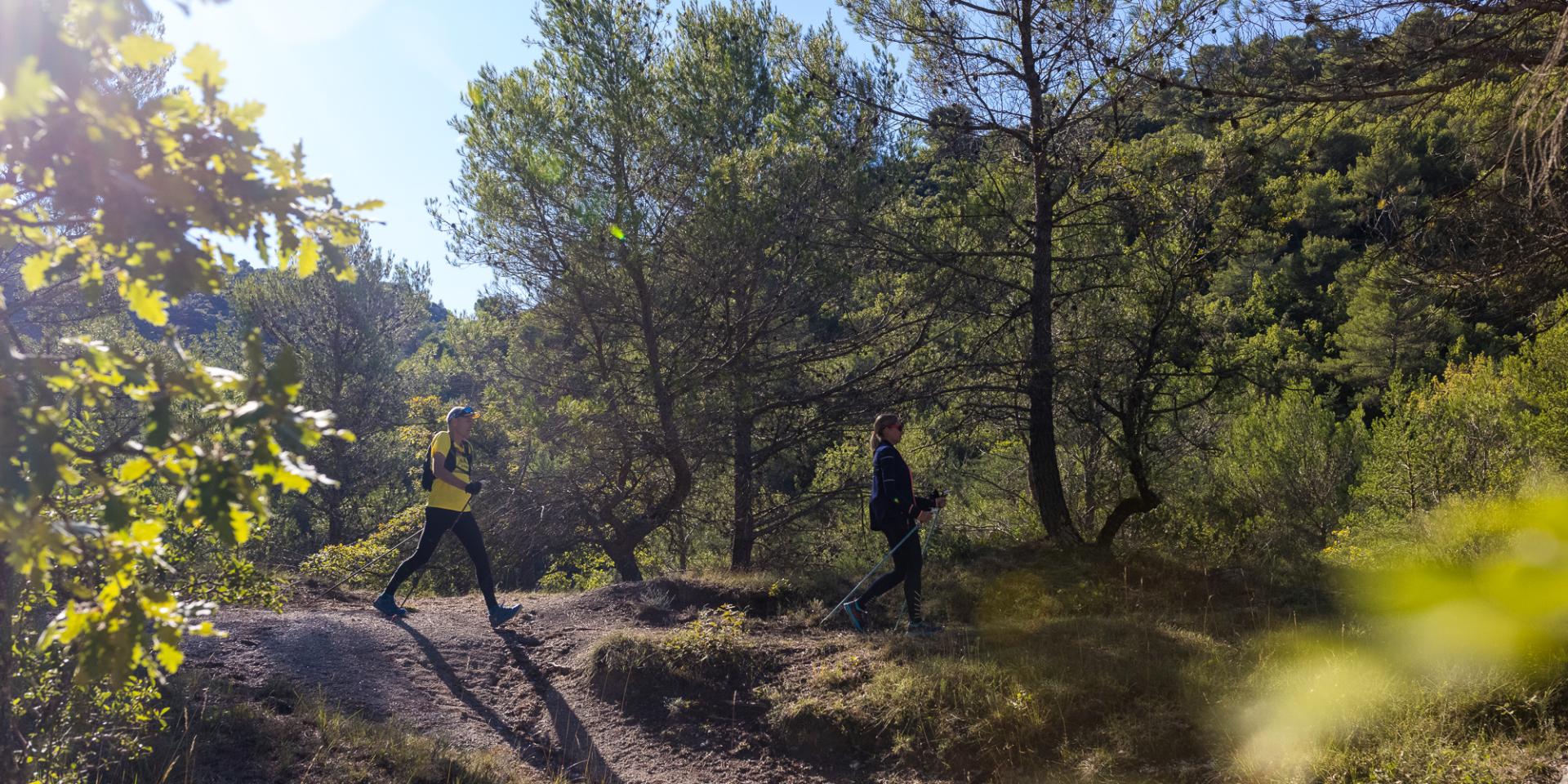 Deux randonneurs marchant sur un sentier forestier, entourés d’arbres et de végétation sous une lumière ensoleillée.