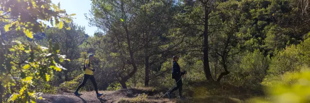 Deux randonneurs marchant sur un sentier forestier, entourés d’arbres et de végétation sous une lumière ensoleillée.