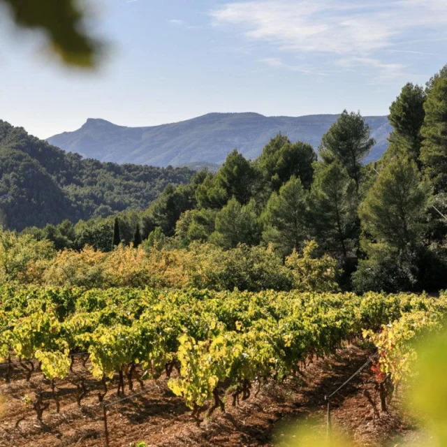 Vignerons Du Garlaban