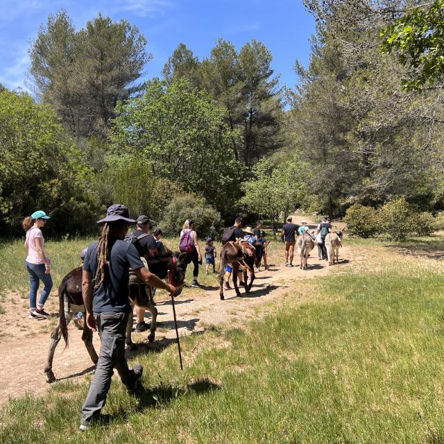 Sentier avec les ânes