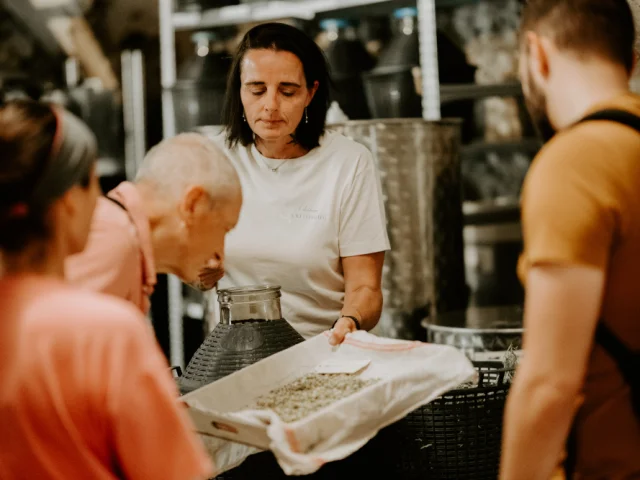 Visite guidée de la Maison Ferroni