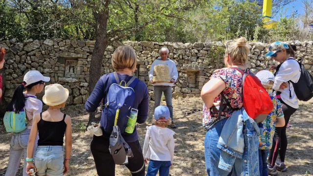Groupe d’adultes et d’enfants participant à une animation autour des abeilles avec un apiculteur en milieu naturel