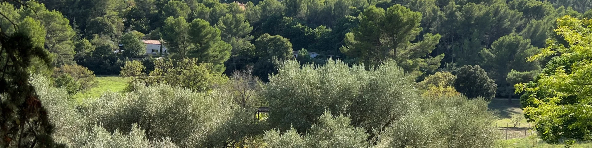 Domaine de Font De Mai