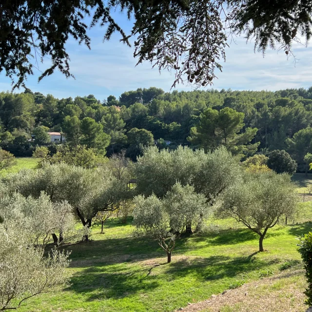 Domaine de Font De Mai