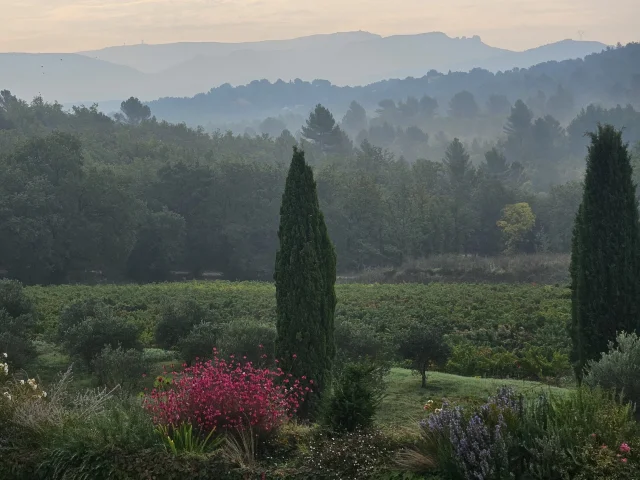 Domaine La Roque Forcade