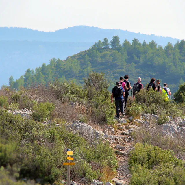 Randonnée dans le garlaban