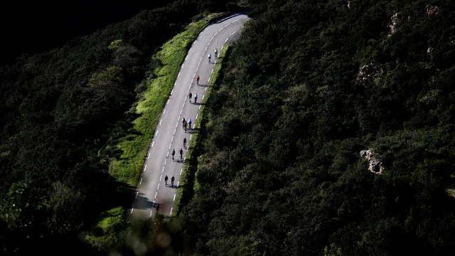 Cyclistes sur une route
