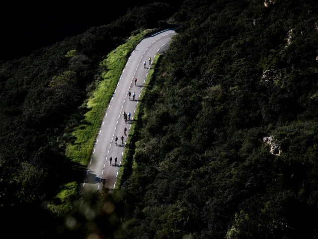 Cyclistes sur une route