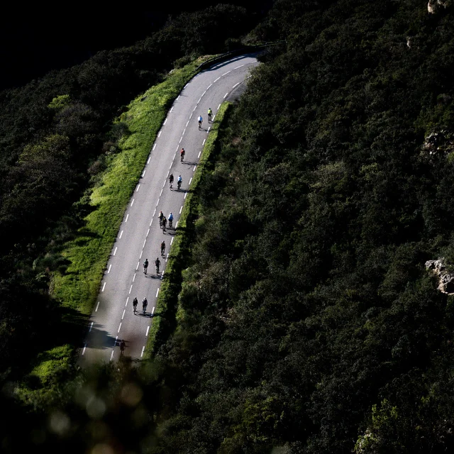 Cyclistes sur une route