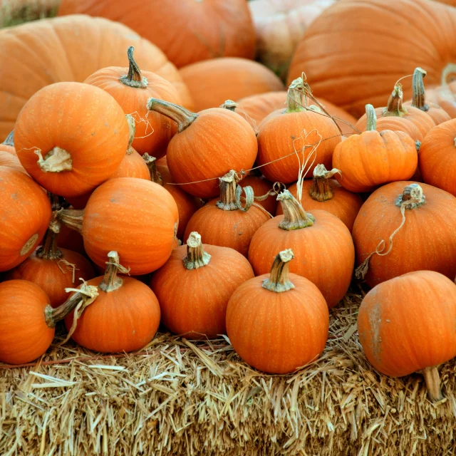 Citrouilles