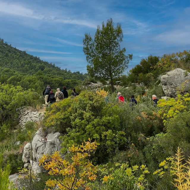 Randonneurs dans le garlaban