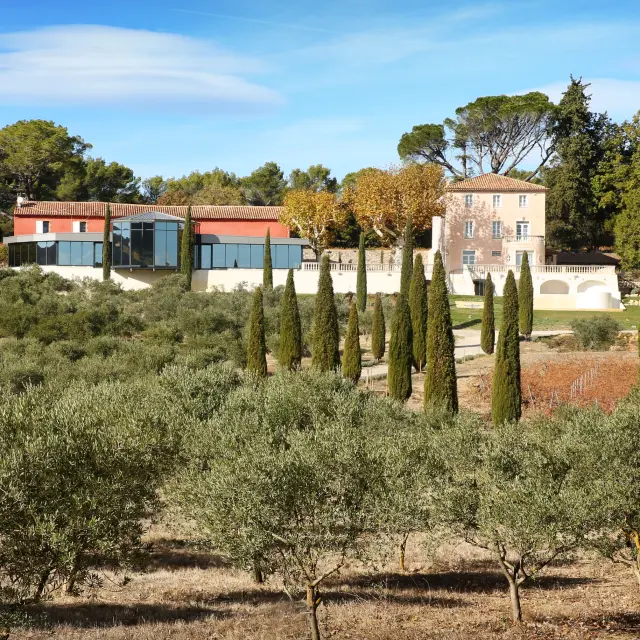 Domaine Roque Forcade