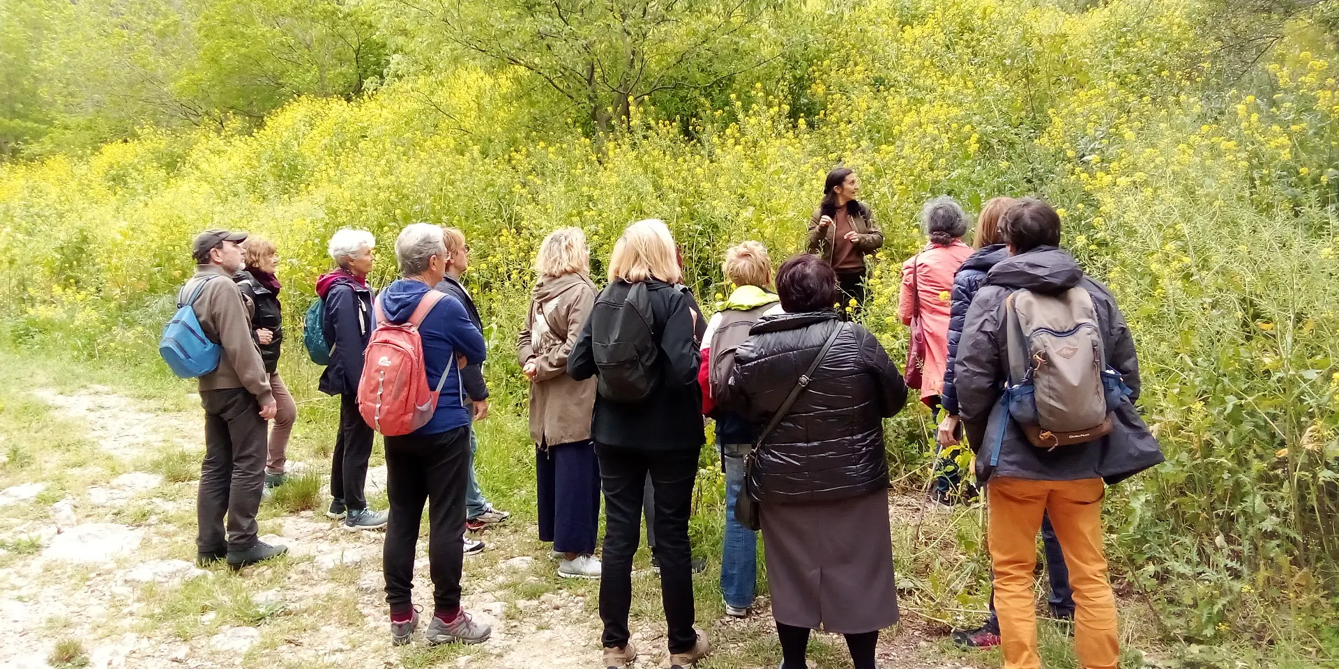 Balade Plantes Sauvages