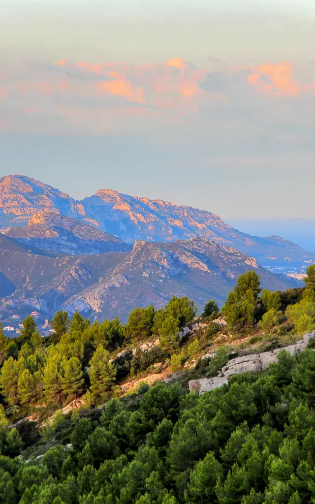 Paysage panoramique du massif de l’Étoile en Provence avec collines boisées de pins, reliefs rocheux et ciel pastel au lever du soleil.