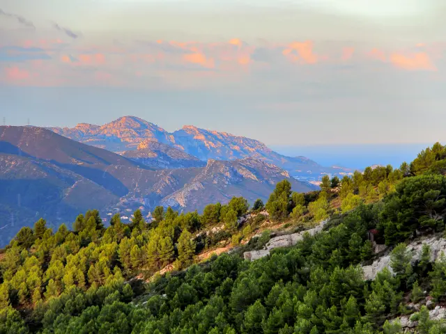 Paysage panoramique du massif de l’Étoile en Provence avec collines boisées de pins, reliefs rocheux et ciel pastel au lever du soleil.
