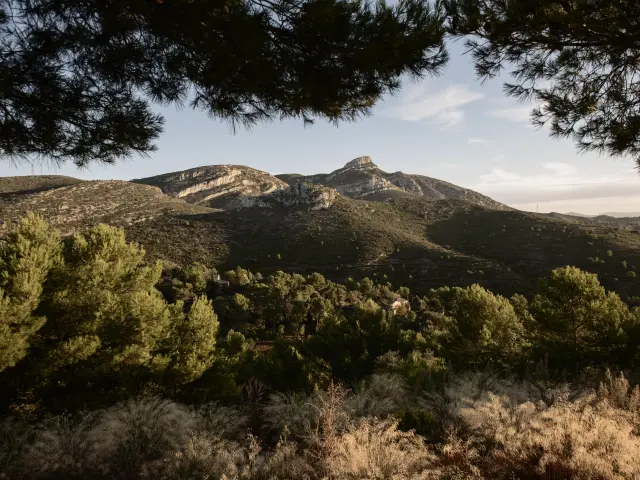 Garlaban Oti Pays D Aubagne 4