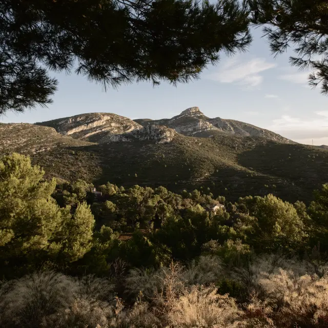 Garlaban Oti Pays D Aubagne 4