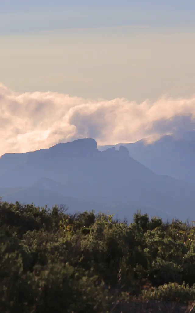 Randonneur marchant dans la garrigue du massif du Garlaban avec vue sur les reliefs montagneux et les nuages en Provence.
