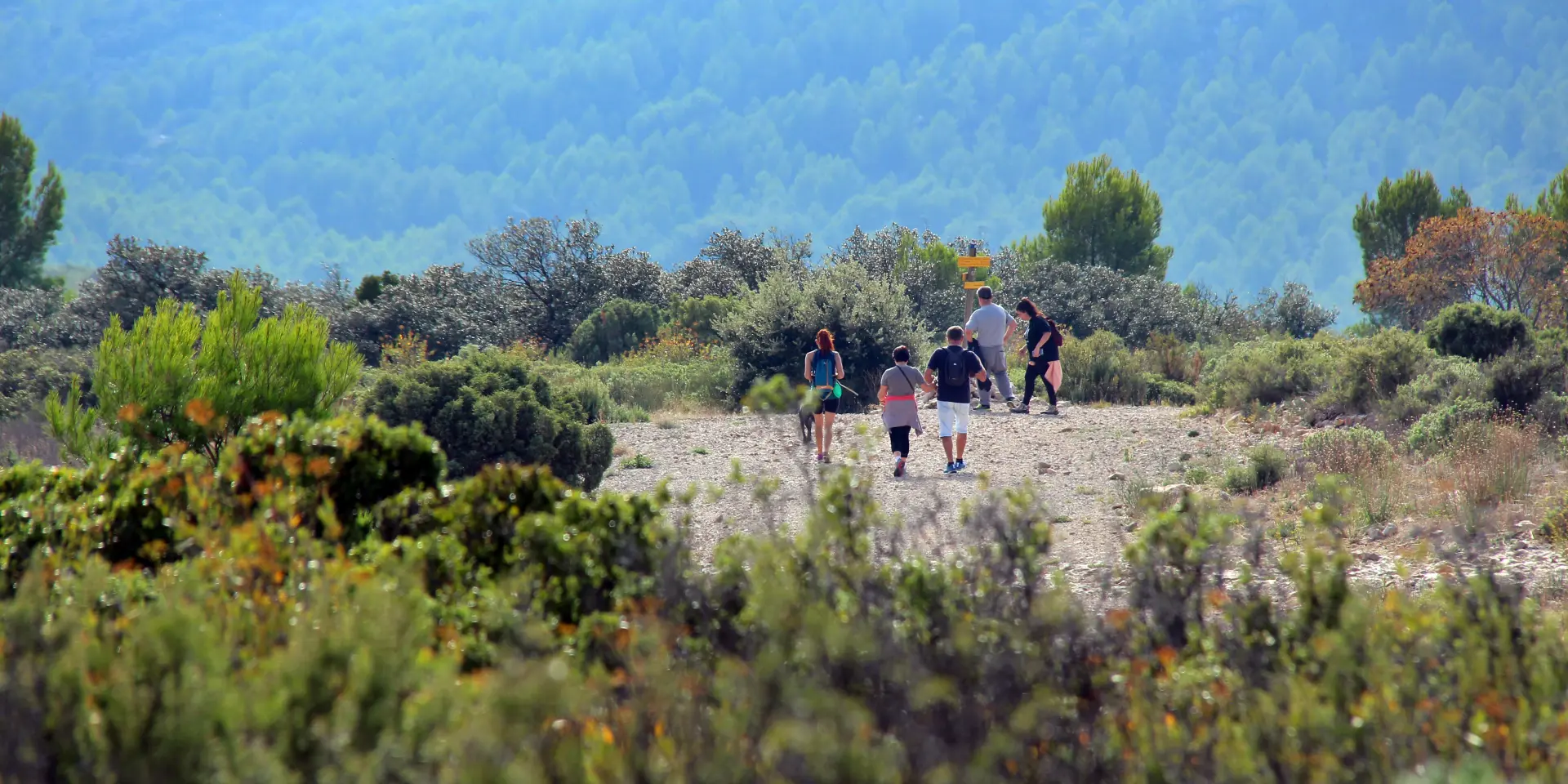 Randonneurs Sentiers Massif De Letoile Nature Oti Aubagne