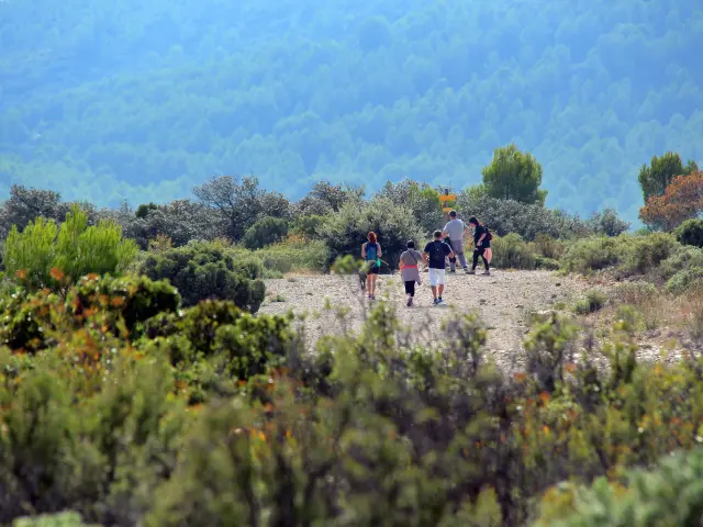 Randonneurs Sentiers Massif De Letoile Nature Oti Aubagne