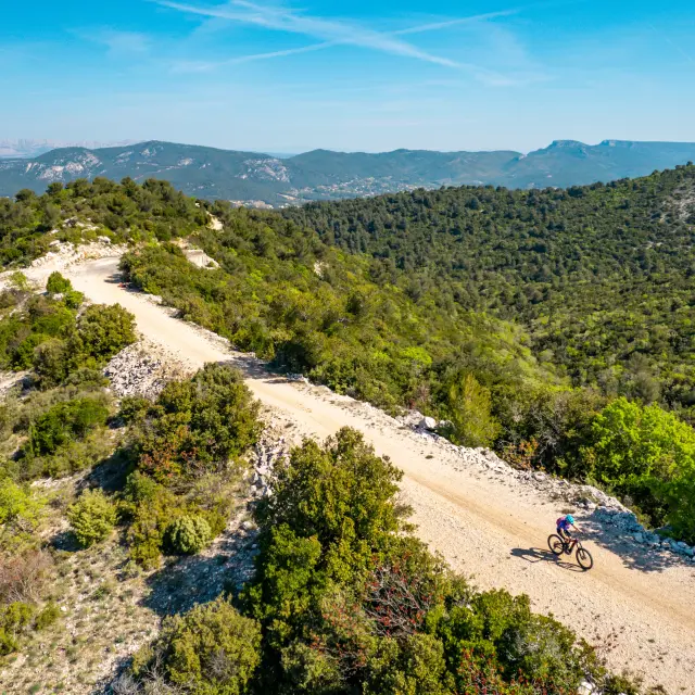Cycliste sur une piste de terre traversant un massif naturel couvert de végétation méditerranéenne, avec collines et forêts en arrière-plan à Aubagne