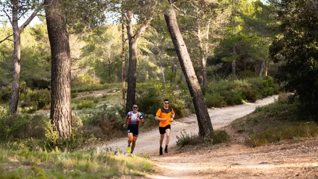 Deux coureurs de trail arpentent un sentier en terre au cœur d’une forêt de pins provençale, en pleine nature dans le Pays d'Aubagne et de l'Étoile