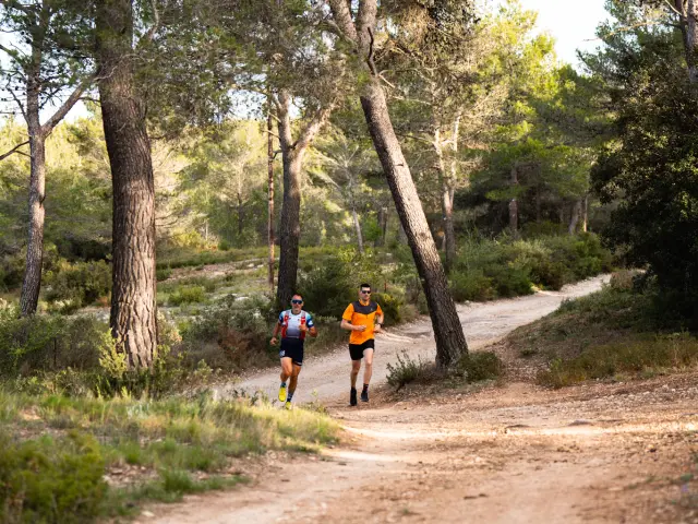 Deux coureurs de trail arpentent un sentier en terre au cœur d’une forêt de pins provençale, en pleine nature dans le Pays d'Aubagne et de l'Étoile