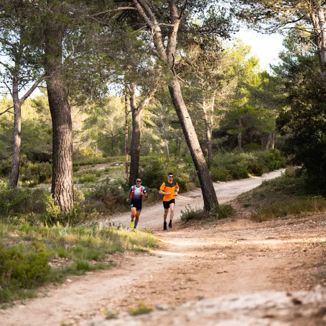 Deux coureurs de trail arpentent un sentier en terre au cœur d’une forêt de pins provençale, en pleine nature dans le Pays d'Aubagne et de l'Étoile