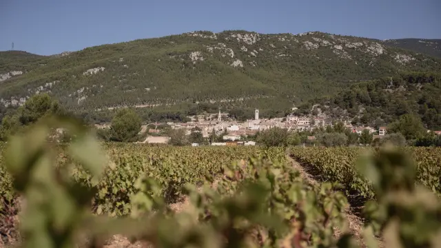 Cuges Les Pins Vignoble Oti Pays D Aubagne 1