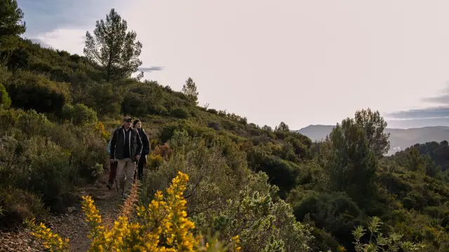 Randonnee Petit Marcel Cineaste En Herbe@al Oti Pays Daubagne